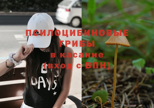 спиды Алексин
