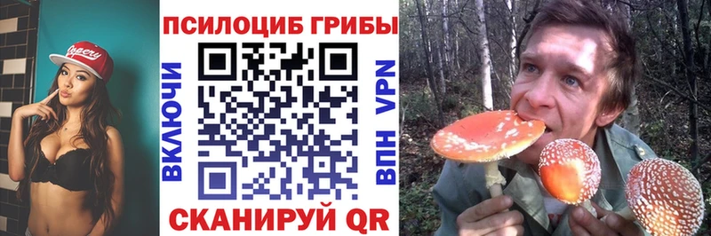 купить наркотики сайты  Духовщина  Галлюциногенные грибы Magic Shrooms 